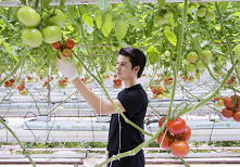 Praktische Economie - 5e editie Praktische Economie - 5e editie